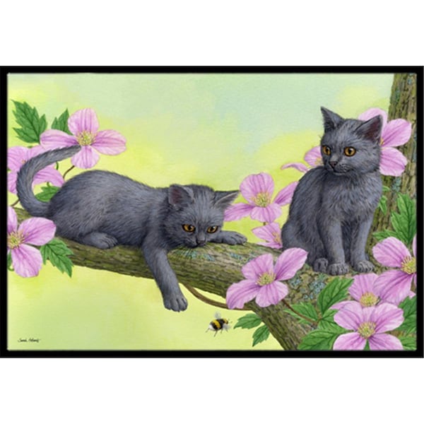 Carolines Treasures Chartruex Kittens Indoor or Outdoor Mat- 18 x 27 ASA2211MAT - main